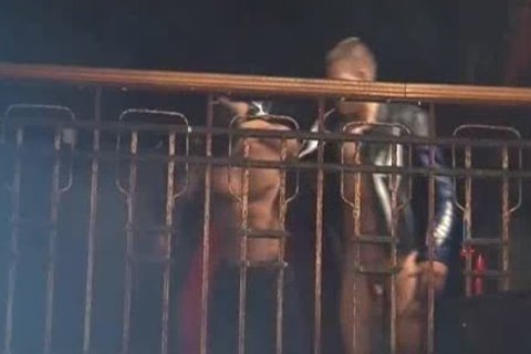 Very palatable three-some