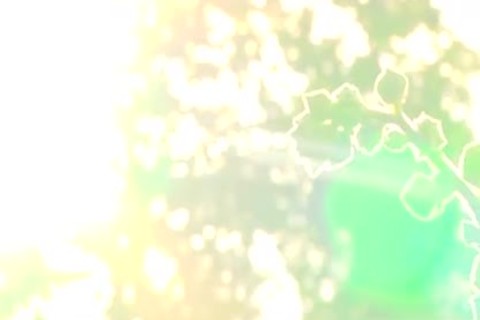 European Tommy Defendi loves big cock Connor Maguire