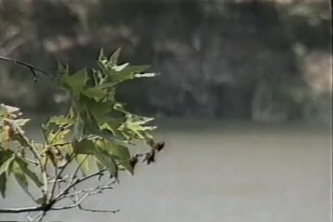 Ranger In The lovely Part1