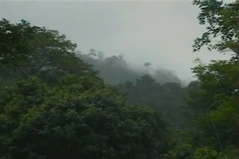 Natural - 1h 17 Min