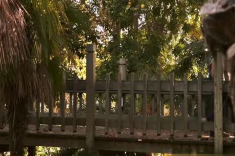 brunette teen bareback And penis juice flow