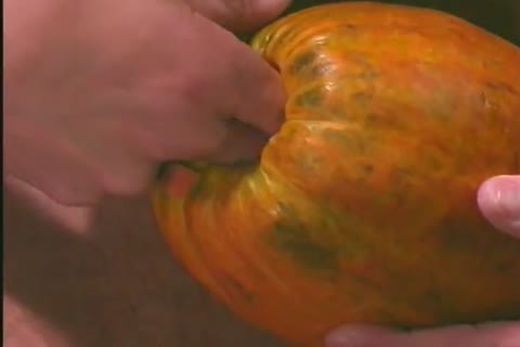 All American Beauties Scene two