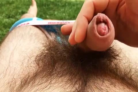 Do you Like large shaggy