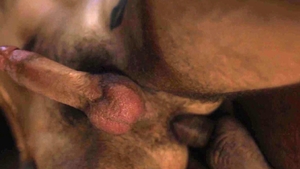 IconMale: Piercing american bear fucked by big dick stepfather