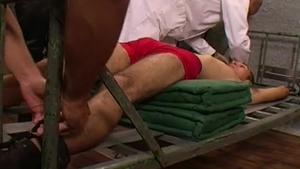 Feels the need for BDSM