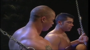 Falcon Studios: Slick Sluts Get Sodomized