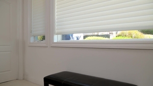 Next Door Buddies: Randy Windowsill Rendezvous