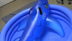 Dick Dorm: Hidden Cameras Reveal Male Secrets