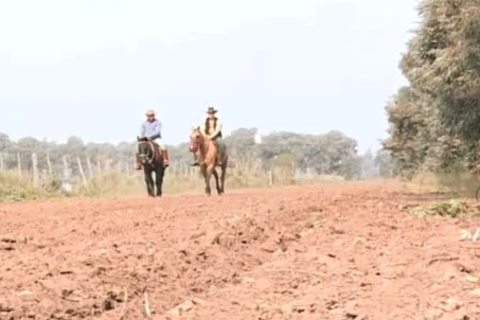 thick penis cowguys nailing on the ranch
